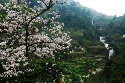 Le tourisme à Dien Bien connaît un excellent démarrage début 2026