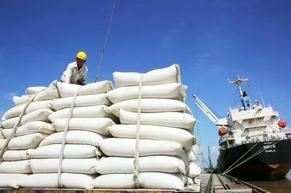 Le Vietnam devrait exporter 7,73 millions de tonnes de riz en 2026