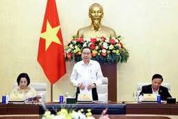 Le président de l'Assemblée nationale Trân Thanh Mân s'exprime lors de la réunion. Photo: VNA