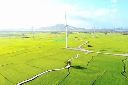 Le parc éolien de Dâm Nai. Photo: VNA
