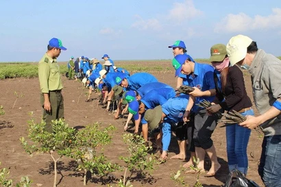Des jeunes plantent des palétuviers dans la zone forestière côtière protégée. Photo : VNA
