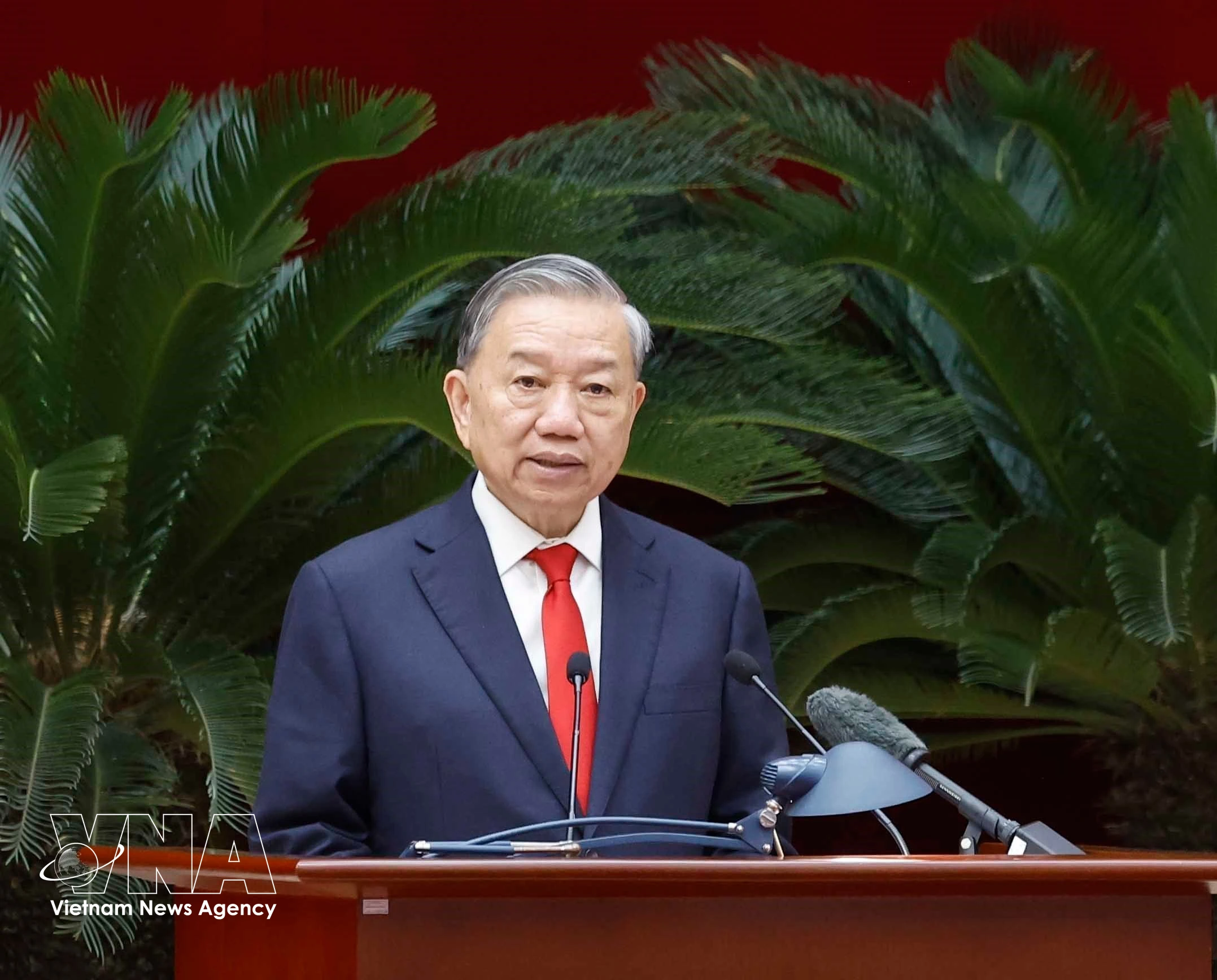 Le SG du Parti et président de la République s'exprime. Photo: VNA