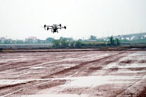 Agriculture: Luong Van Truong, une illustration des orientations de la Résolution 57-NQ/TW