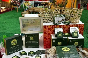 À la Foire du Printemps 2026, le « com » ravive l’esprit du Tet