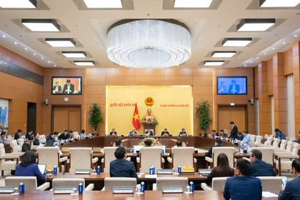 Lors de la réunion. Photo : VNA