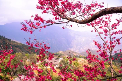 Voyager printanier : des destinations incontournables du début d’année 