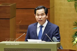 Le Quang Manh, secrétaire général de l’Assemblée nationale, chef de son bureau et chef du bureau du Conseil électoral national, s'exprime lors de la réunion. Photo: VNA