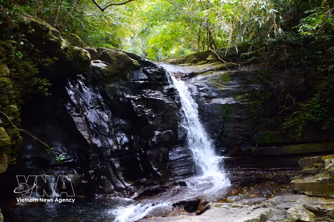 Bach Ma, entre forêts luxuriantes et cascades cristallines