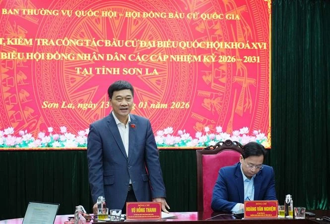 Le vice-président de l’Assemblée nationale, Vu Hong Thanh s'exprime. Photo: VNA