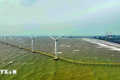 Éoliennes du parc éolien de République de Corée-Tra Vinh. Photo : VNA