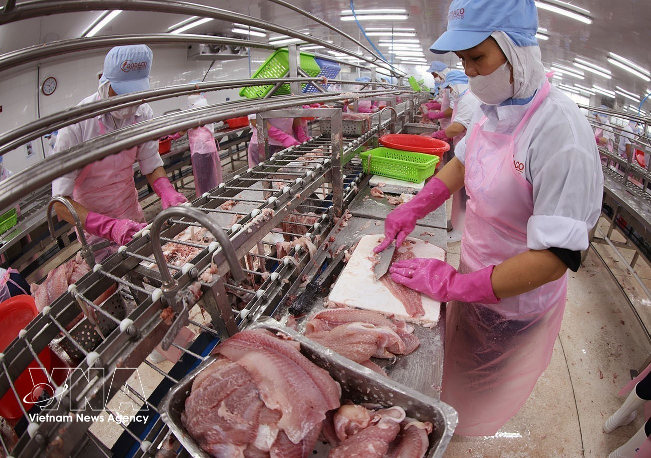 Transformation de filets de pangasius destinés à l'exportation. Photo : VNA