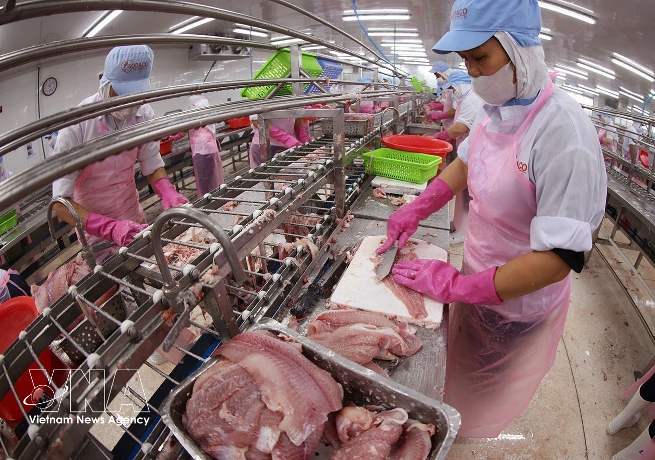 Transformation de filets de pangasius destinés à l'exportation. Photo : VNA