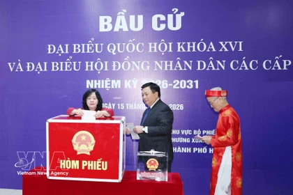 Bui Thi Minh Hoai, membre du Bureau politique, secrétaire du Comité central du Parti et présidente du Comité central du FPV, dépose son bulletin de vote dans l'urne. Photo: VNA