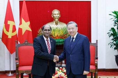 Le secrétaire général du Parti Tô Lâm (droite) reçoit l’ambassadeur de Singapour, Jaya Ratnam. Photo. VNA