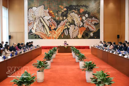 Panorama de la rencontre. Photo: VNA