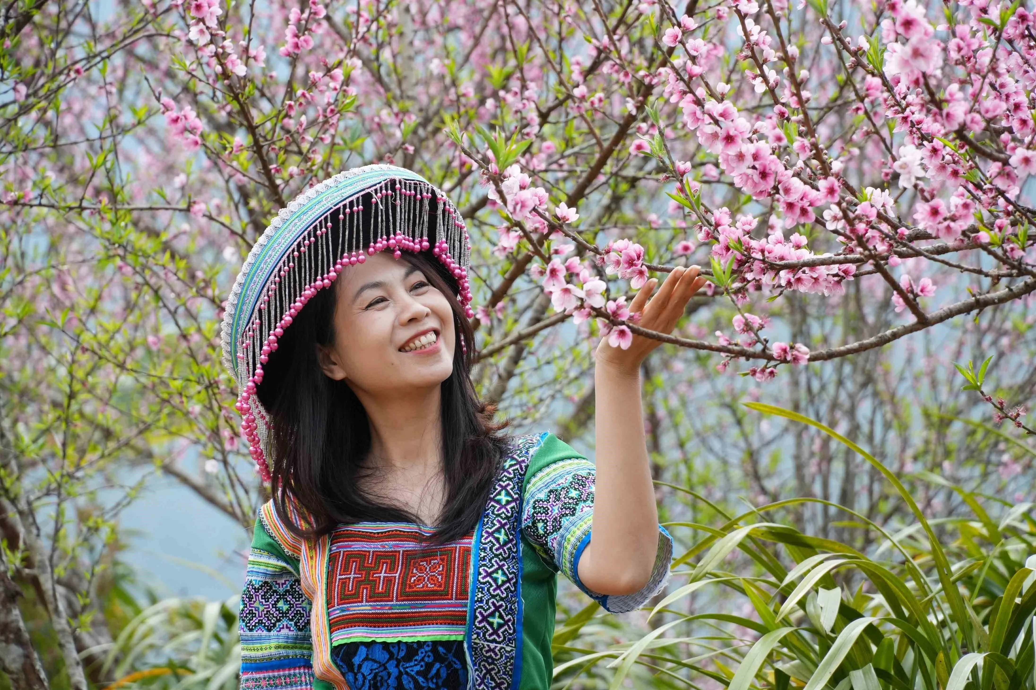 Lai Chau : Les pêchers en fleurs illuminent le village touristique de Sin Suoi Ho