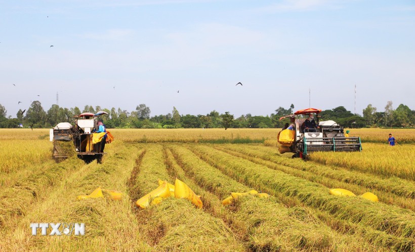 Des politiques de rupture, mises en œuvre avec célérité, nourrissent de fortes attentes de la population quant à une amélioration de la qualité de vie. Photo : VNA