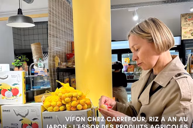 VIFON chez Carrefour, riz A An au Japon : l'essor des produits agricoles vietnamiens à l'export