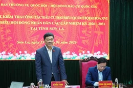 Le vice-président de l’Assemblée nationale, Vu Hong Thanh s'exprime. Photo: VNA