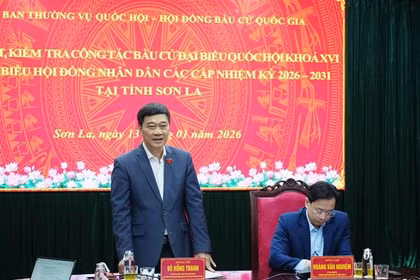 Le vice-président de l’Assemblée nationale, Vu Hong Thanh s'exprime. Photo: VNA