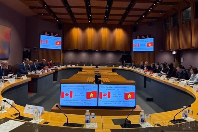 La 3e réunion du Comité mixte économique Vietnam-Canada (JEC 3) se déroule sous la co-présidence de la vice-ministre vietnamienne de l'Industrie et du Commerce, Phan Thi Thang, et du sous-ministre canadien des Affaires mondiales, Arun Thangaraj, le 6 juin 2026. Photo : VNA