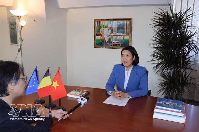 L’ambassadrice du Vietnam en Belgique et cheffe de la Mission du Vietnam auprès de l’UE, Nguyen Huong Tra, répond à une interview de l’Agence vietnamienne d’information. Photo: VNA 